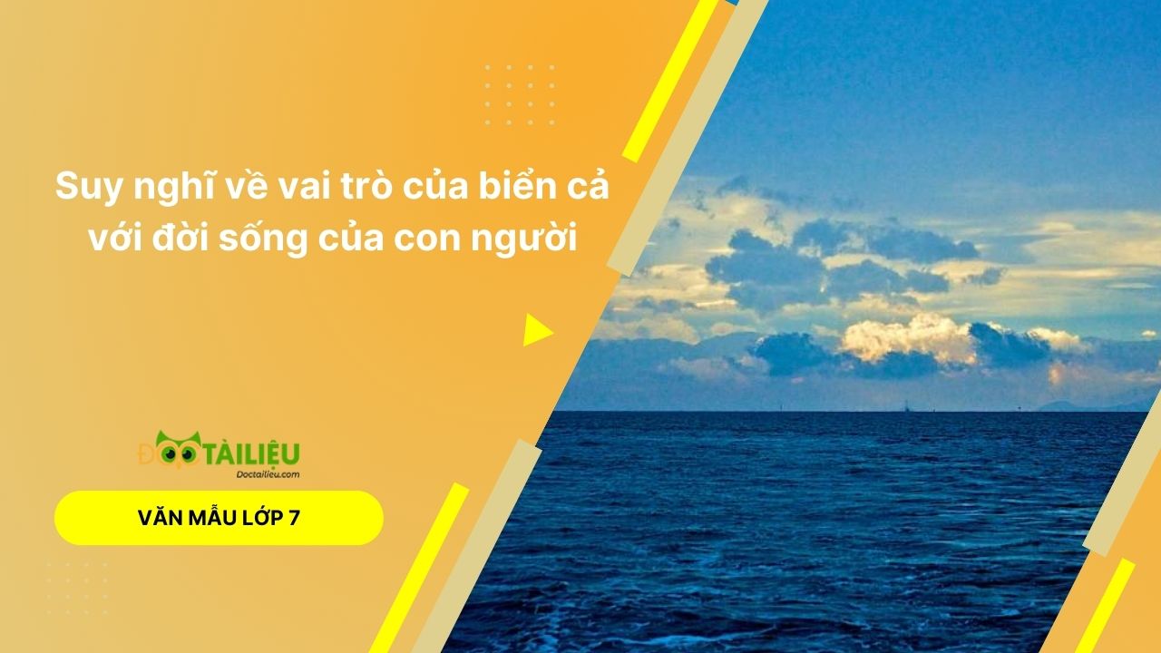 Suy nghĩ về vai trò của biển cả với đời sống của con người