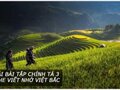 Giải bài tập chính tả 3 Nghe viết Nhớ Việt Bắc