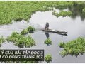 Gợi ý giải bài Tập đọc 3  Vàm cỏ Đông trang 107
