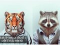 Luyện từ và câu: Nhân hóa
