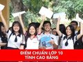 Điểm chuẩn vào lớp 10 tỉnh Cao Bằng năm học 2024 - 2025