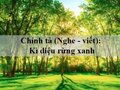 Chính tả (Nghe - viết): Kì diệu rừng xanh trang 76