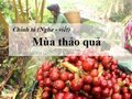 Chính tả (Nghe - viết): Mùa thảo quả lớp 5