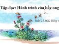 Soạn bài Tập đọc: Hành trình của bầy ong