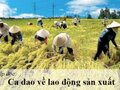 Tập đọc Ca dao về lao động sản xuất Tiếng việt lớp 5