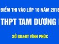Điểm thi vào lớp 10 trường THPT Tam Dương 1 - Vĩnh Phúc 2018