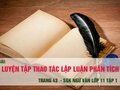 Soạn bài Luyện tập thao tác lập luận phân tích