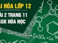 Bài 2 trang 11 sgk Hóa 12