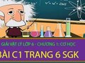 Giải bài C1 trang 6 sách giáo khoa vật lý lớp 6