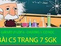 Giải vật lý lớp 6: Đáp án bài C5 trang 7 SGK