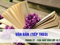 Văn bản (tiếp theo)
