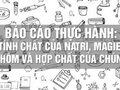 Báo cáo thực hành: Tính chất của natri, magie, nhôm và hợp chất của chúng