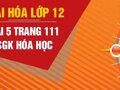 Bài 5 trang 111 sgk Hóa 12