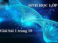 Giải bài 1 trang 10 SGK Sinh học lớp 12
