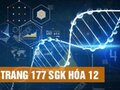 Giải hóa lớp 12: Đáp án bài 2 trang 177 SGK hóa học