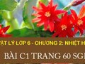 Giải bài C1 trang 60 sgk vật lý lớp 6 