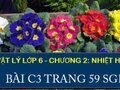 Đáp án bài C3 trang 59 sách giáo khoa môn vật lý lớp 6