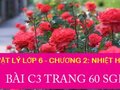 Đáp án bài C3 trang 60 sách giáo khoa môn vật lý lớp 6