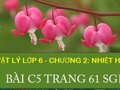 Giải vật lý lớp 6: Đáp án bài C5 trang 61 SGK Vật lý 6