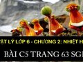 Giải bài C5 trang 63 sgk vật lý lớp 6 