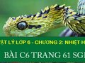 Đáp án bài C6 trang 61 sách giáo khoa môn vật lý lớp 6