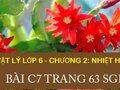 Giải vật lý lớp 6: Đáp án bài C7 trang 63 SGK Vật lý 6