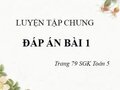 Đáp án bài 1 trang  79 SGK Toán 5 tiết luyện tập chung