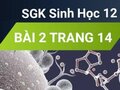 Giải bài 2 trang 14 sách giáo khoa sinh học lớp 12