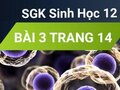 Giải sinh lớp 12: Đáp án bài 3 trang 14 SGK sinh học