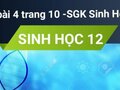 Giải bài 4 trang 10 sách giáo khoa sinh học lớp 12