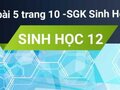 Giải sinh lớp 12: Đáp án bài 5 trang 10 SGK sinh học