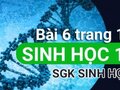 Giải bài 6 trang 10 sách giáo khoa sinh học lớp 12