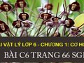 Giải vật lý lớp 6: Đáp án bài C6 trang 66 SGK Vật lý 6