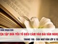 Soạn bài Luyện tập đưa yếu tố biểu cảm vào bài văn nghị luận