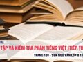 Soạn bài Ôn tập và kiểm tra phần tiếng việt (tiếp theo)