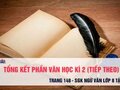 Soạn bài Tổng kết phần văn (tiếp theo)