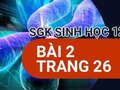 Giải sinh lớp 12: Đáp án bài 2 trang 26 SGK sinh học