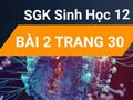 Giải sinh lớp 12: Đáp án bài 2 trang 30 SGK sinh học
