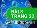 Giải sinh lớp 12: Đáp án bài 3 trang 22 SGK sinh học