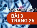 Giải sinh lớp 12: Đáp án bài 3 trang 26 SGK sinh học