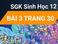 Đáp án bài 3 trang 30 sách giáo khoa sinh học 12