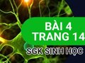 Giải bài 4 trang 14 sách giáo khoa sinh học lớp 12
