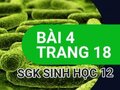 Giải sinh lớp 12: Đáp án bài 4 trang 18 SGK sinh học