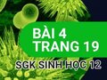 Giải bài 4 trang 19 sách giáo khoa sinh học lớp 12
