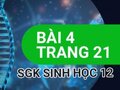 Giải sinh lớp 12: Đáp án bài 4 trang 21 SGK sinh học