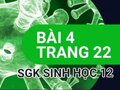 Giải bài 4 trang 22 sách giáo khoa sinh học lớp 12