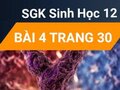 Giải bài 4 trang 30 sách giáo khoa sinh học lớp 12