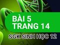 Giải sinh lớp 12: Đáp án bài 5 trang 14 SGK sinh học