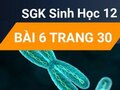 Giải sinh lớp 12: Đáp án bài 6 trang 30 SGK sinh học