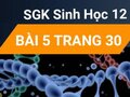 Đáp án bài 5 trang 30 sách giáo khoa sinh học 12